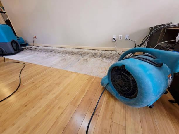 Professional Sewage Cleanup technician working in Parsons, TN